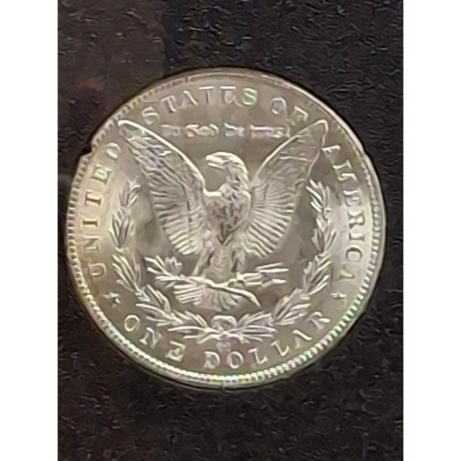 1884-CC Morgan Dollar in GSA OGP
