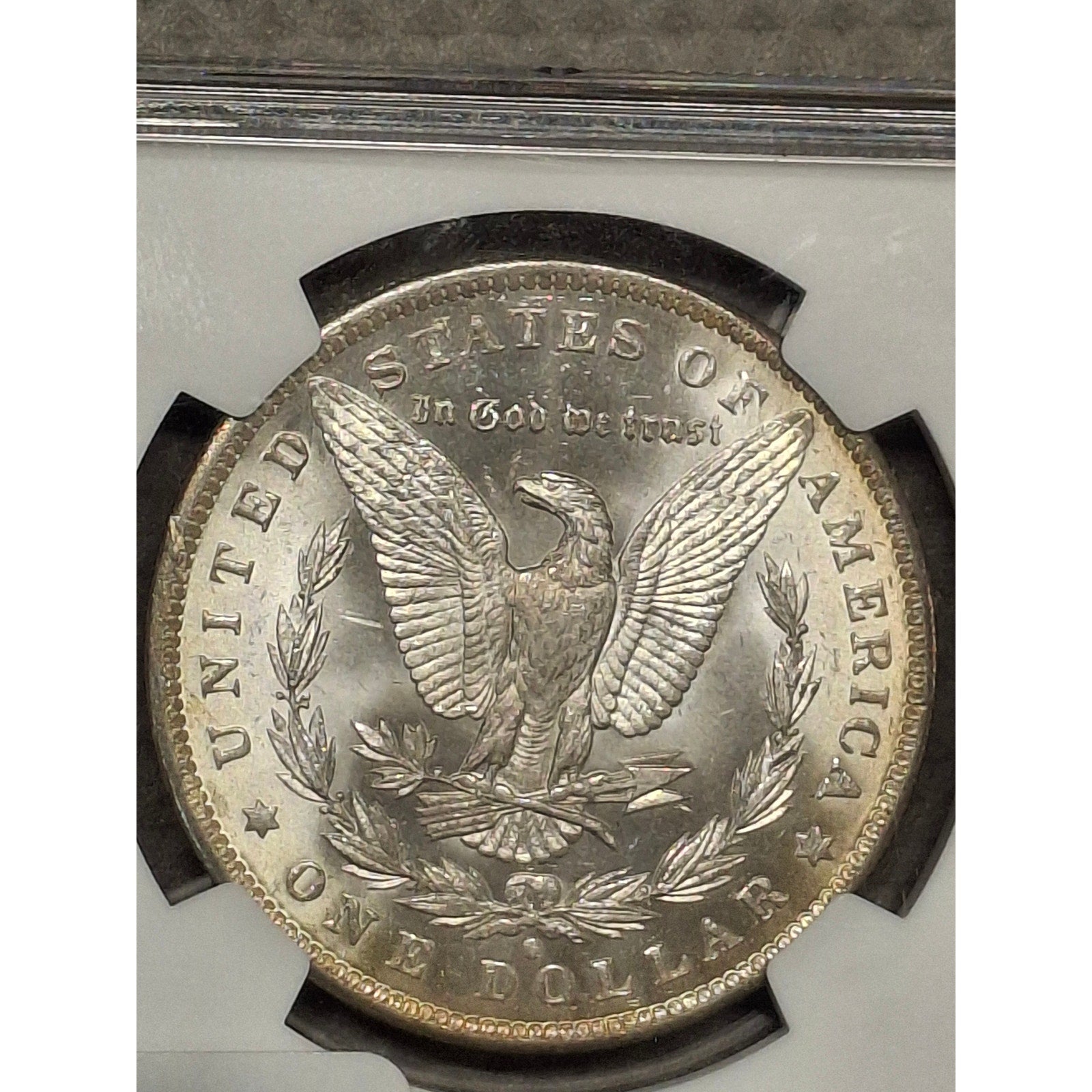 1884-O MS65 Morgan Dollar